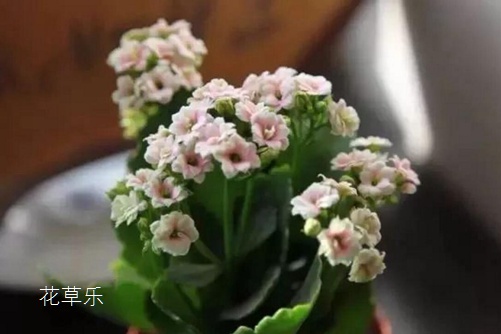 新闻资讯亚洲熟妇av日韩av专区专业专注，技术领先