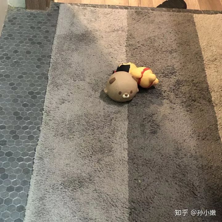 家庭合影镜头国产麻豆精品xxxhd,捕捉时光的温馨瞬间